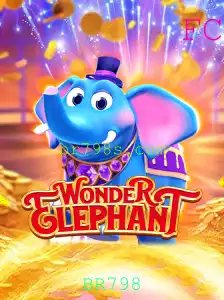 Explorando o Mundo Encantador de WonderElephant: Um Guia Completo
